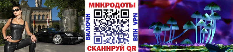 Купить  Белебей  Псилоцибиновые грибы мицелий 